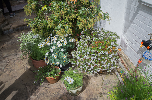 Glebe Cottage
